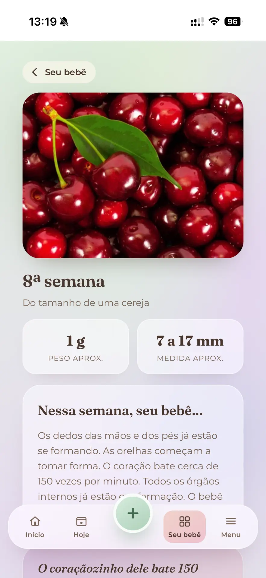 Cada semana da gravidez